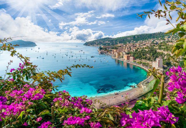 Blumenriviera & Côte d'Azur